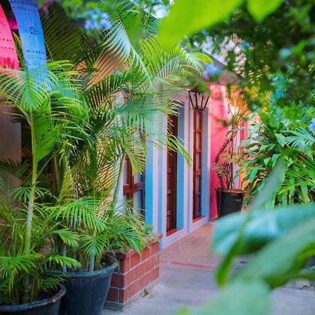 Hotel Las Golondrinas Oaxaca Dış mekan fotoğraf