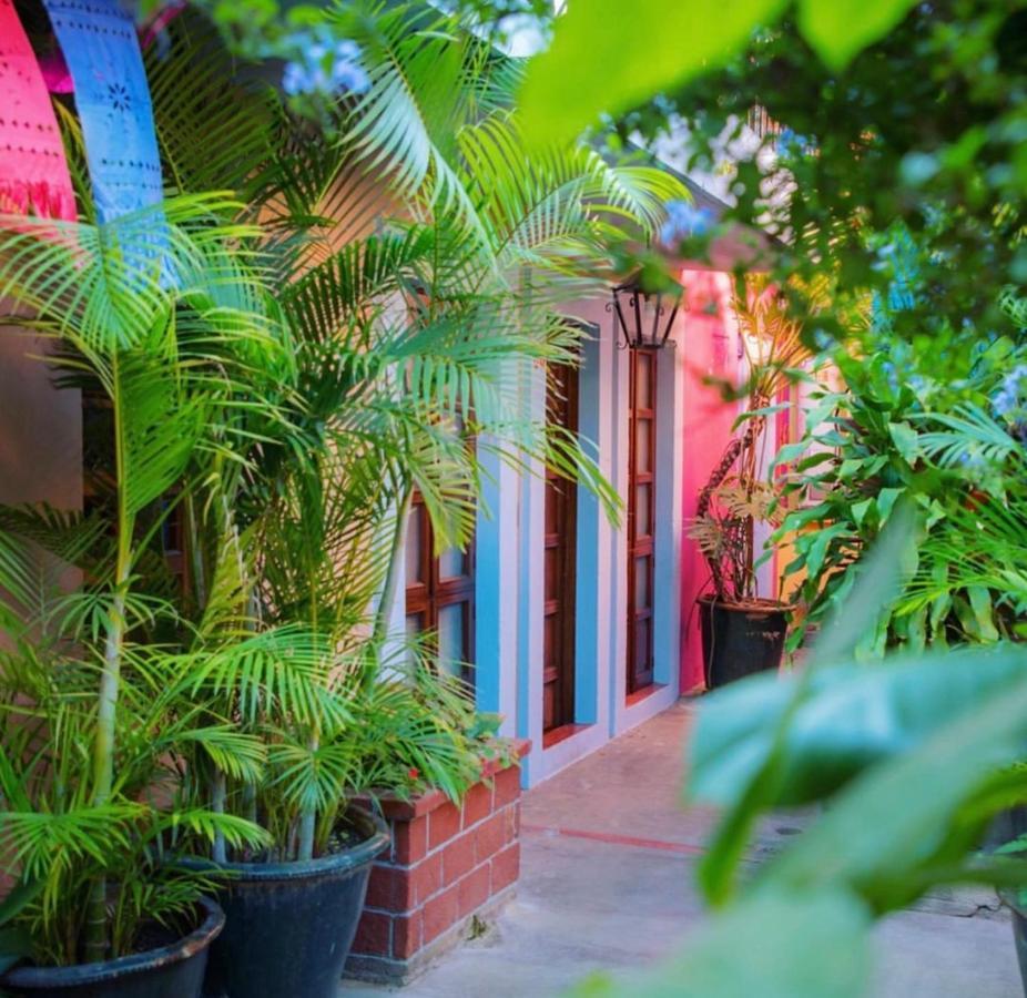 Hotel Las Golondrinas Oaxaca Dış mekan fotoğraf