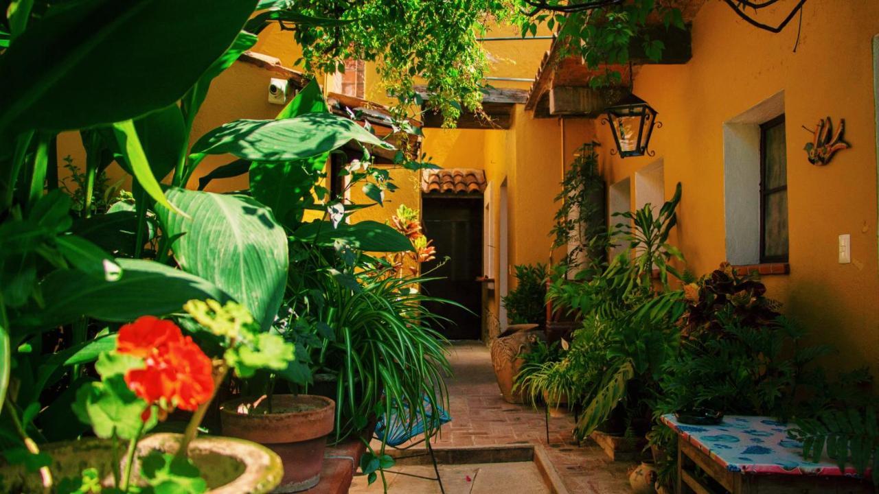 Hotel Las Golondrinas Oaxaca Dış mekan fotoğraf