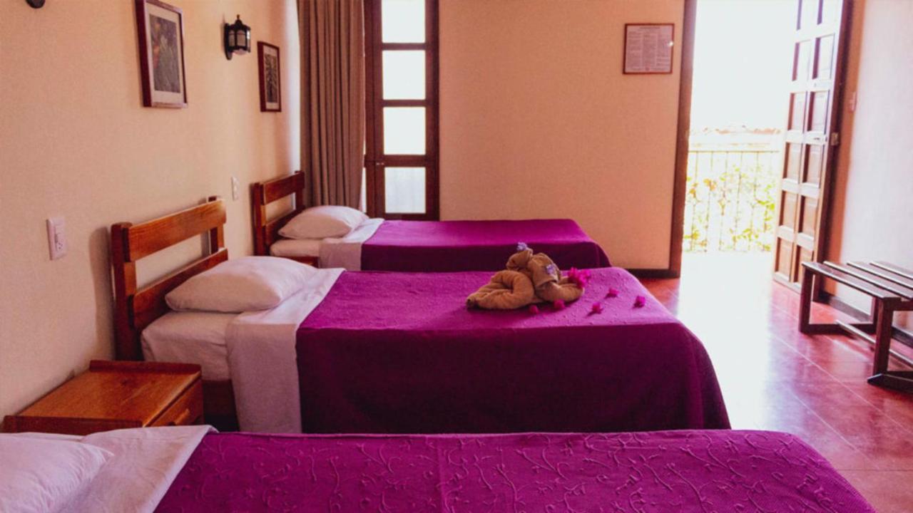 Hotel Las Golondrinas Oaxaca Dış mekan fotoğraf