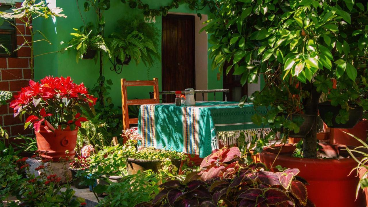 Hotel Las Golondrinas Oaxaca Dış mekan fotoğraf