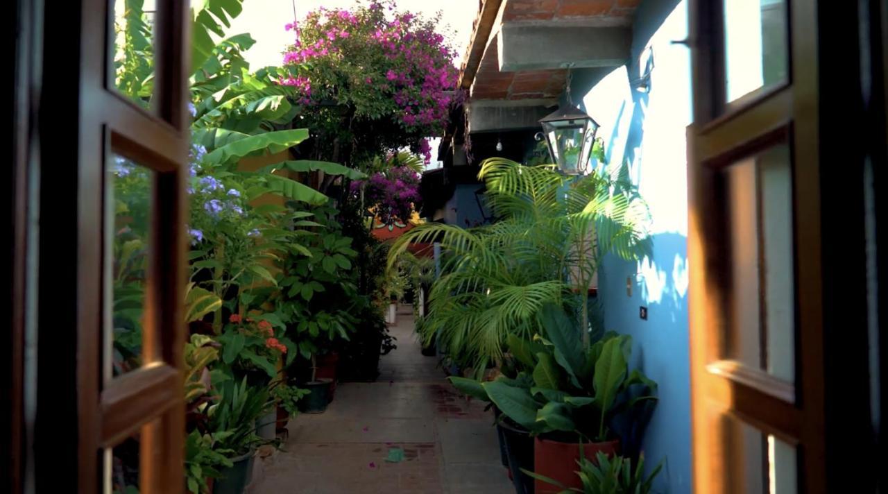 Hotel Las Golondrinas Oaxaca Dış mekan fotoğraf