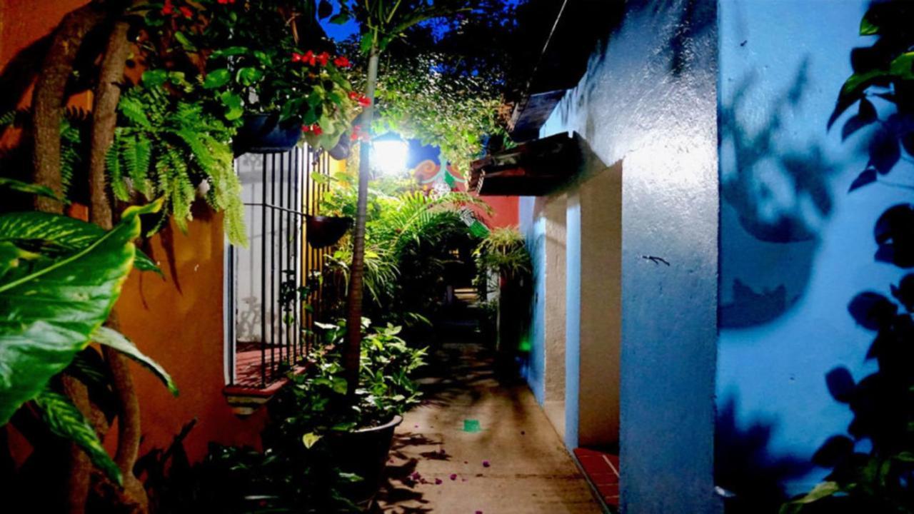 Hotel Las Golondrinas Oaxaca Dış mekan fotoğraf