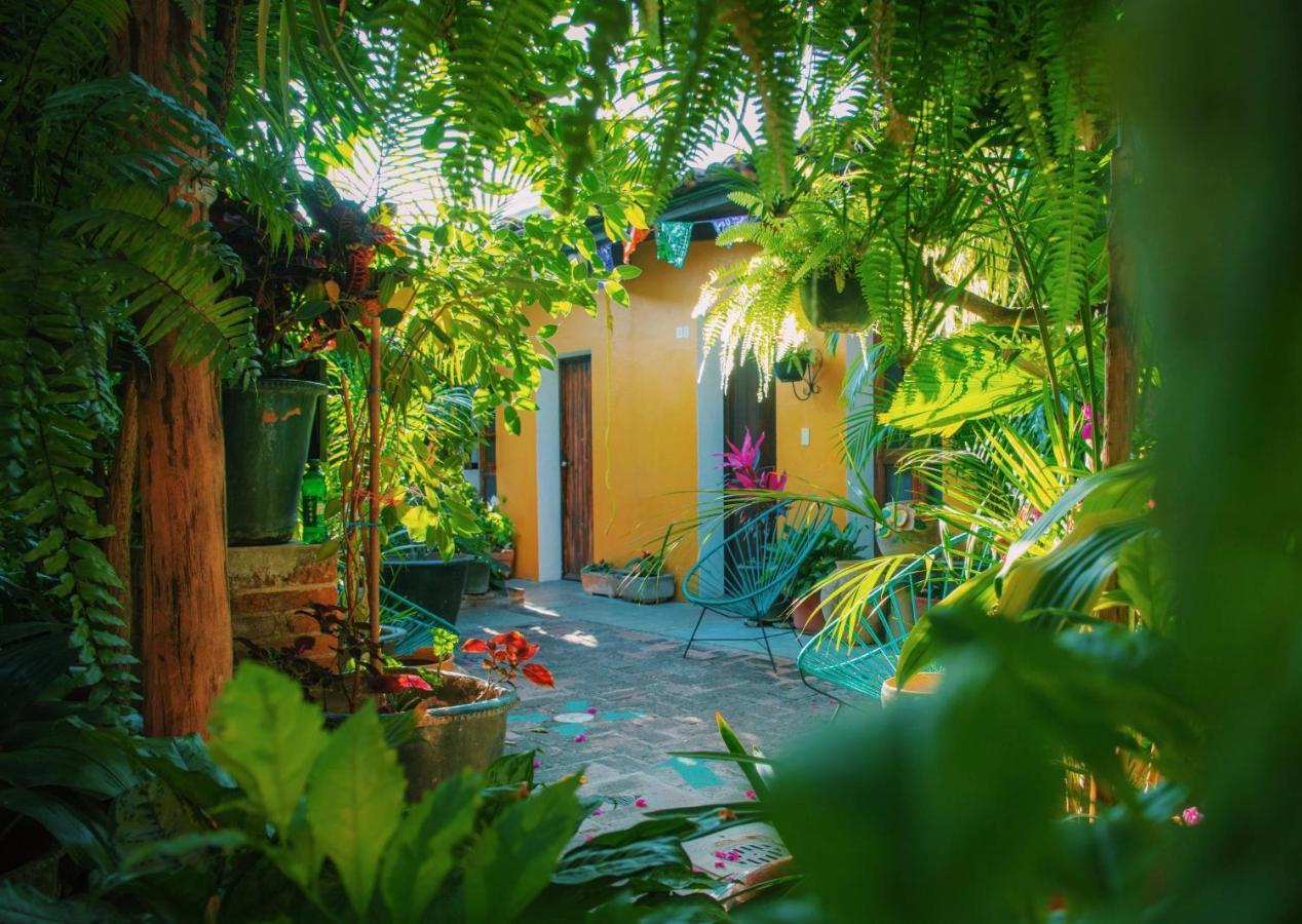 Hotel Las Golondrinas Oaxaca Dış mekan fotoğraf