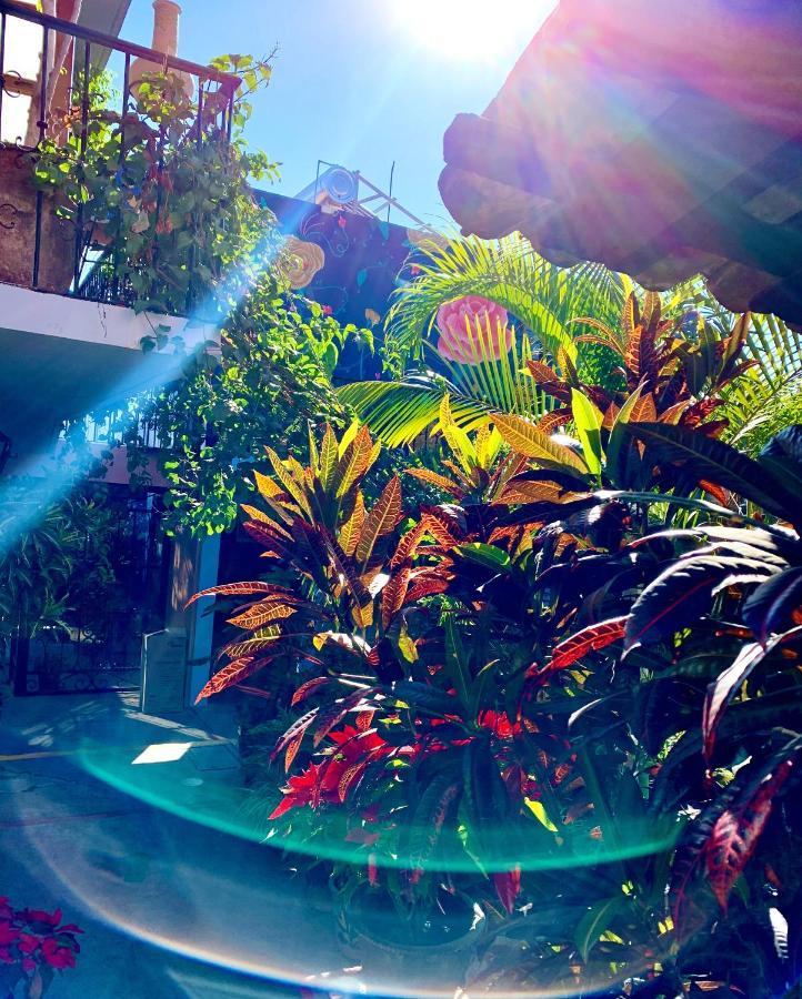 Hotel Las Golondrinas Oaxaca Dış mekan fotoğraf