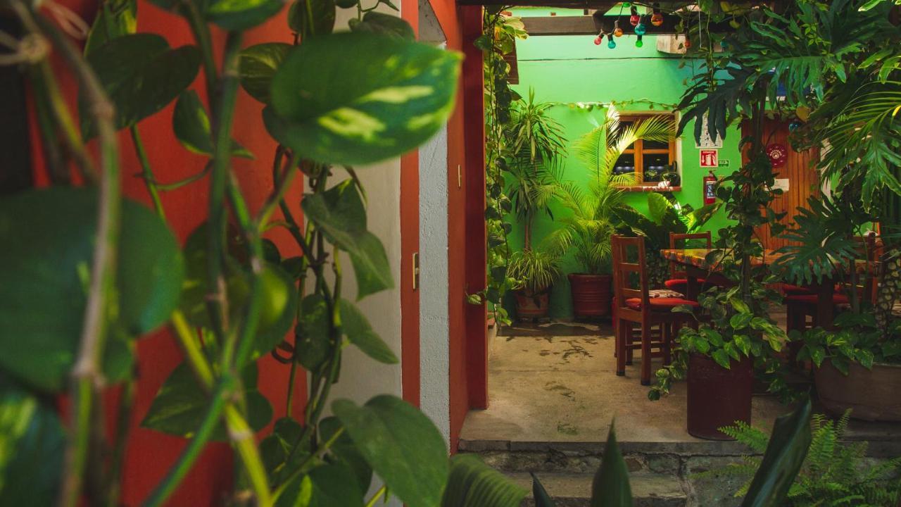 Hotel Las Golondrinas Oaxaca Dış mekan fotoğraf