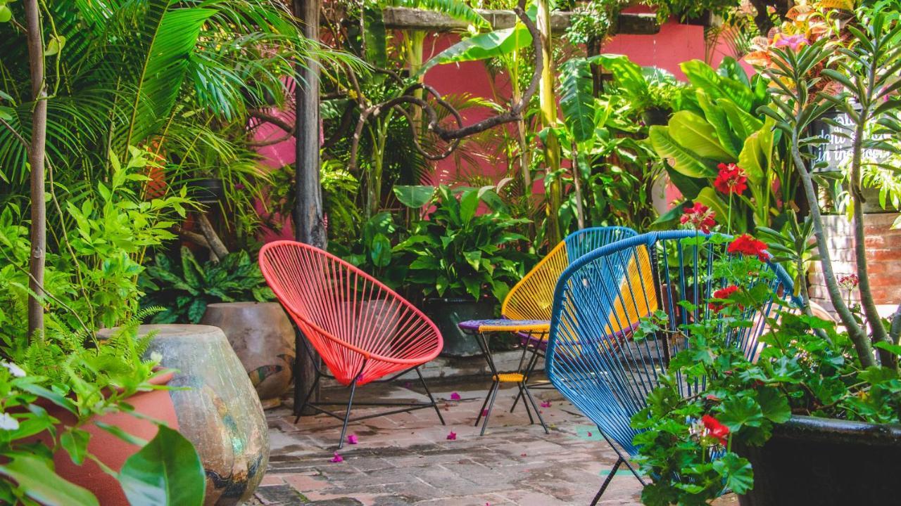 Hotel Las Golondrinas Oaxaca Dış mekan fotoğraf