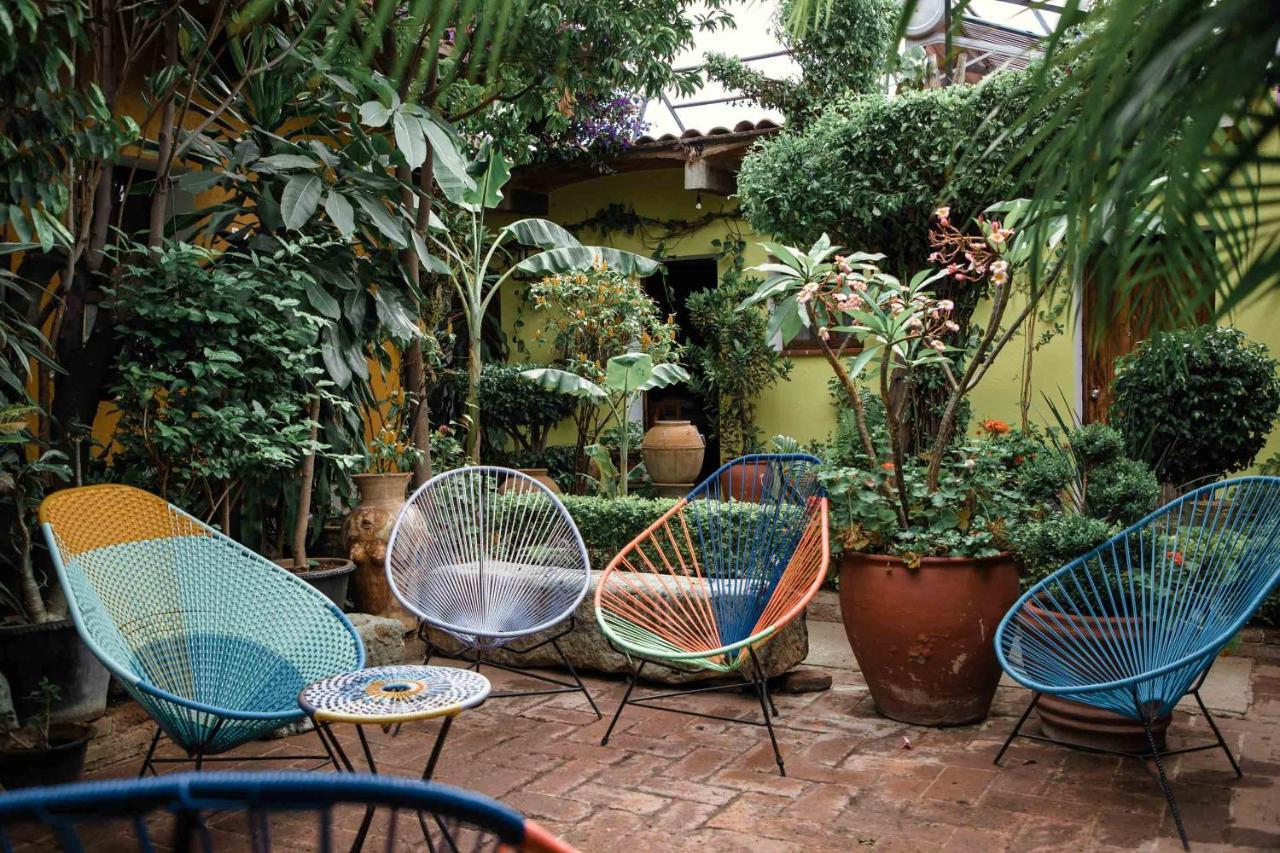 Hotel Las Golondrinas Oaxaca Dış mekan fotoğraf