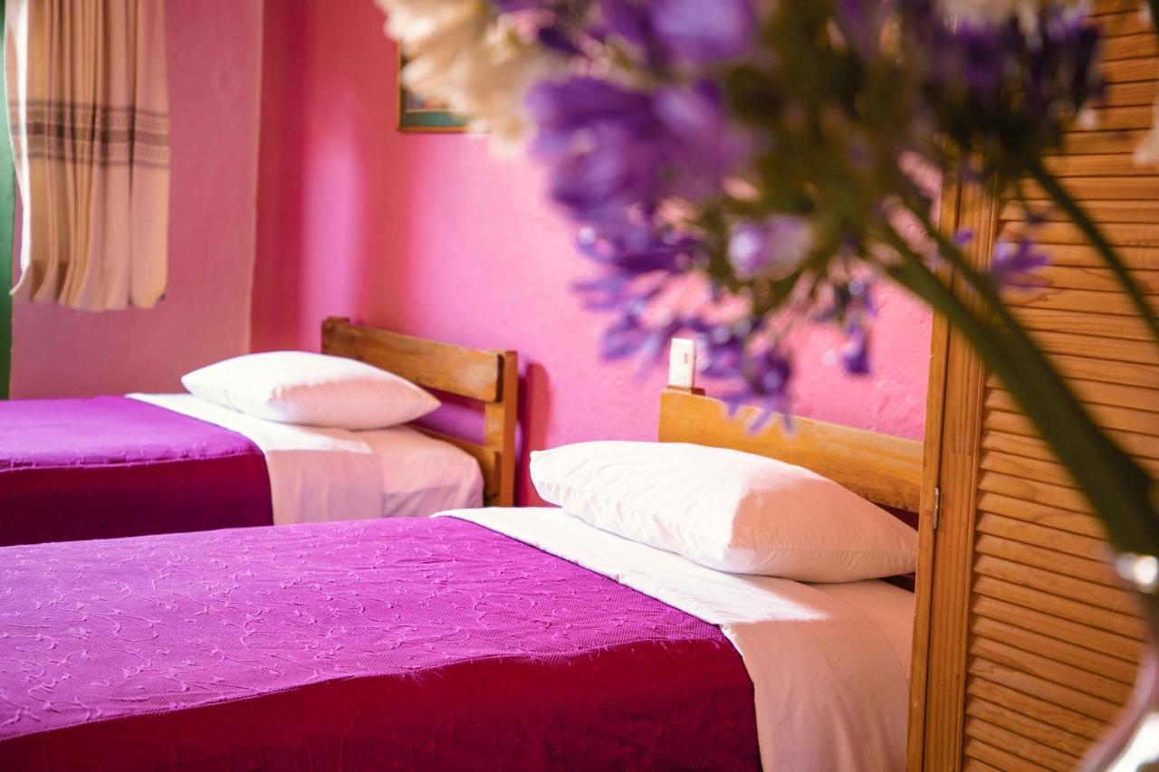 Hotel Las Golondrinas Oaxaca Dış mekan fotoğraf