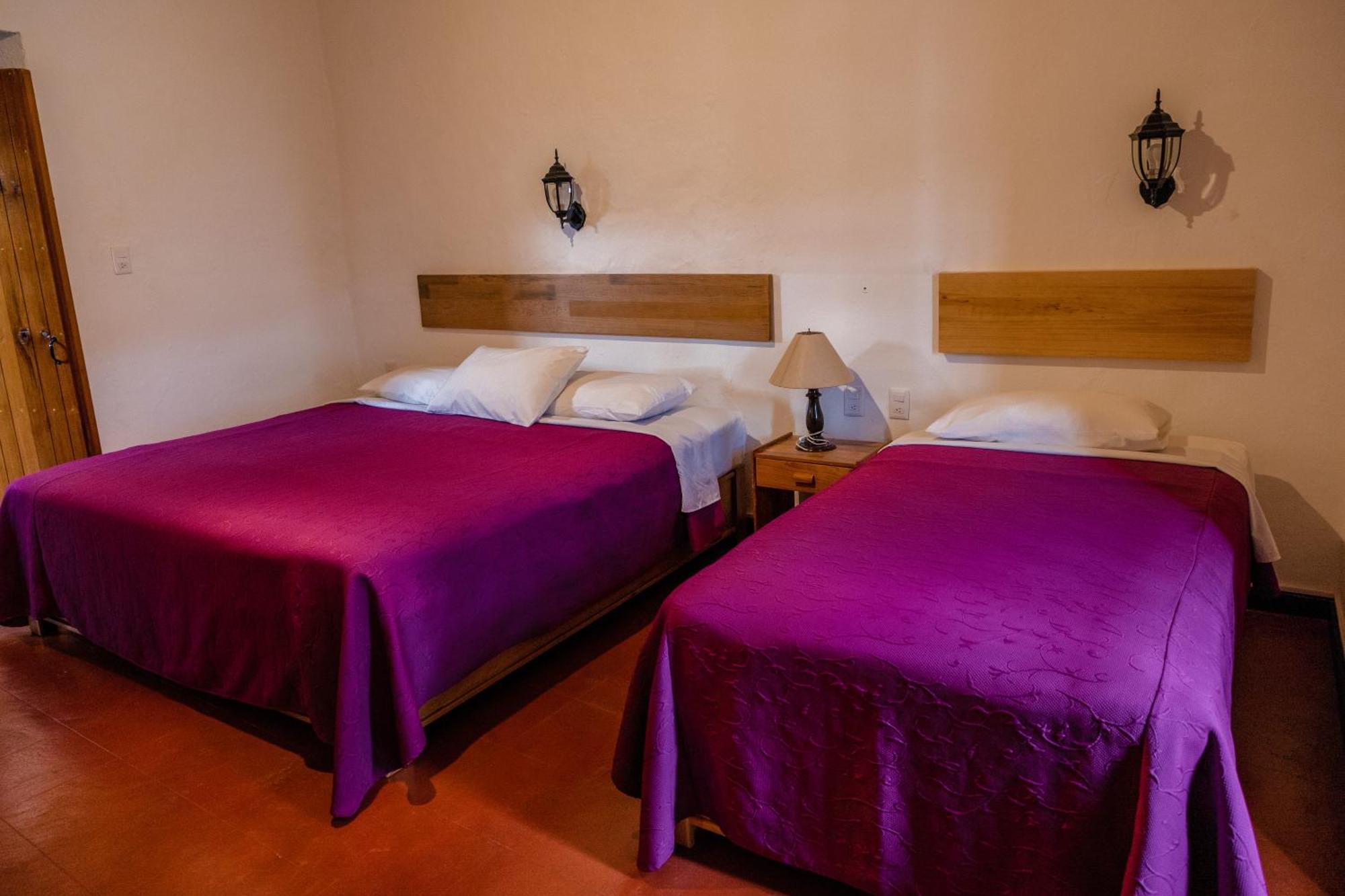 Hotel Las Golondrinas Oaxaca Dış mekan fotoğraf