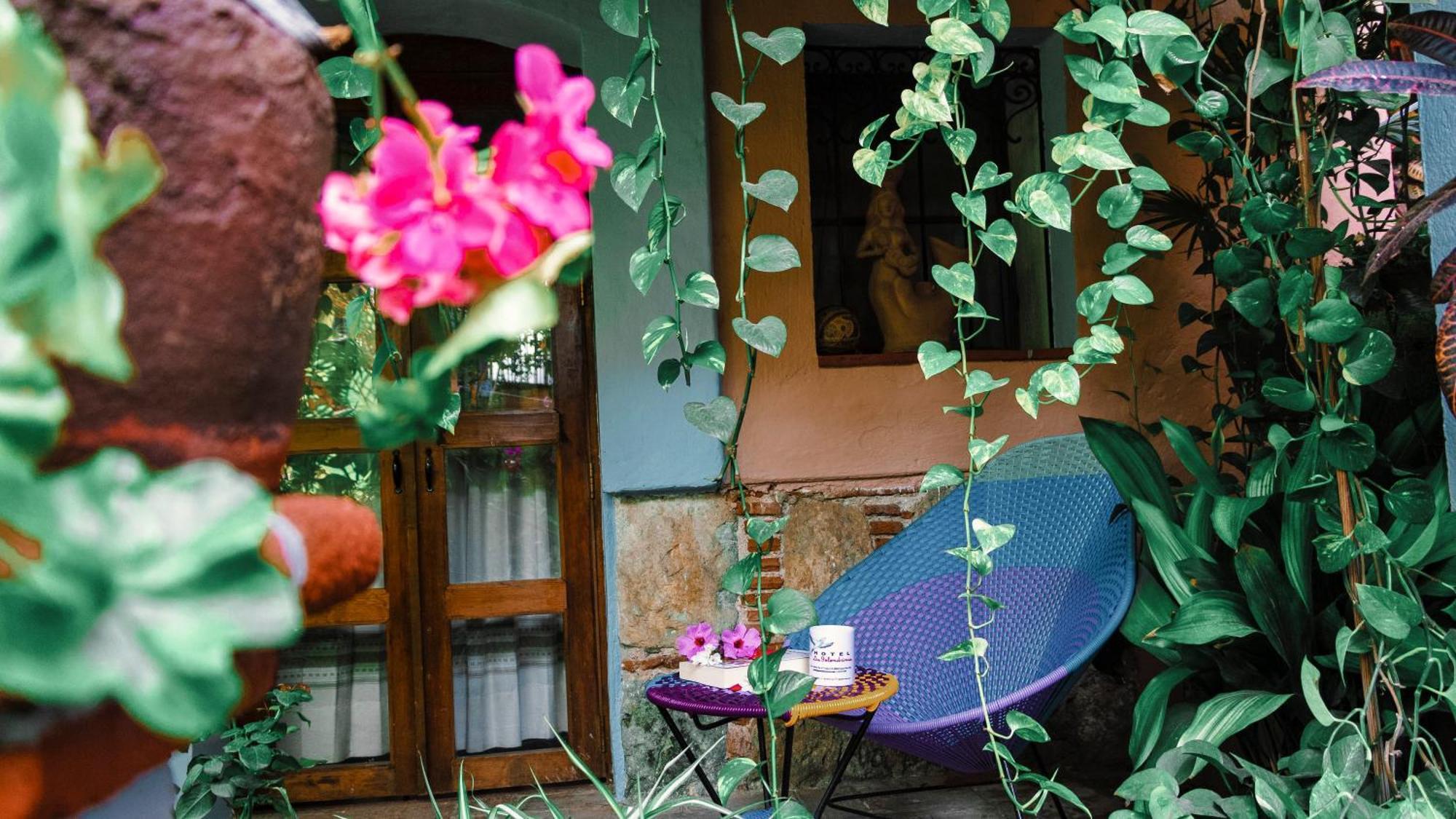 Hotel Las Golondrinas Oaxaca Dış mekan fotoğraf
