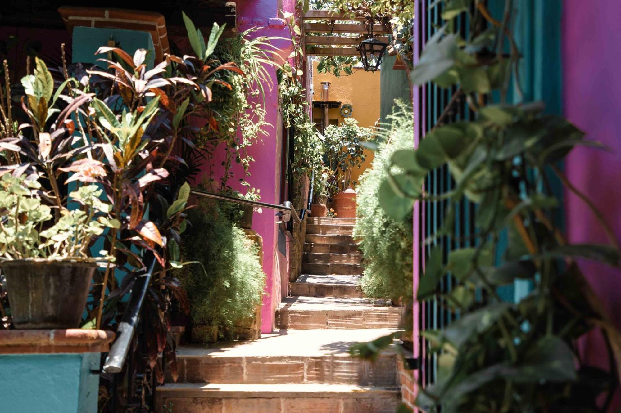 Hotel Las Golondrinas Oaxaca Dış mekan fotoğraf