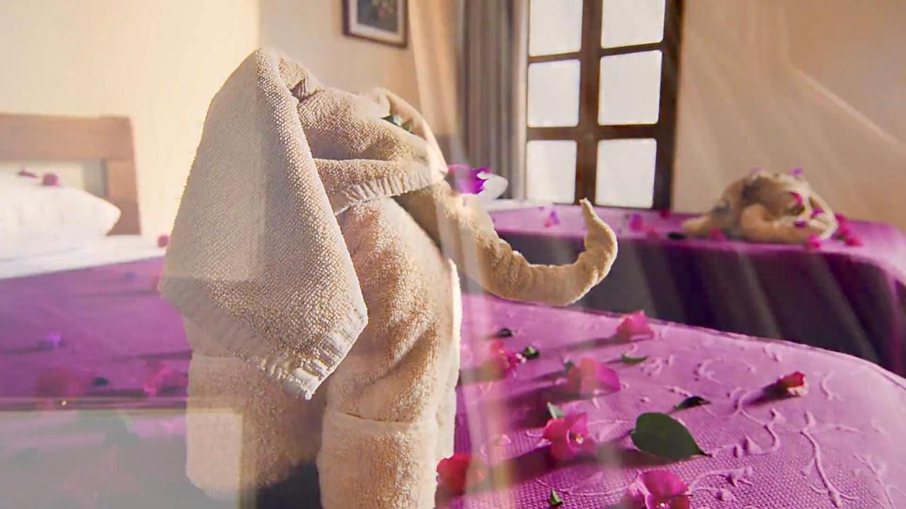 Hotel Las Golondrinas Oaxaca Dış mekan fotoğraf