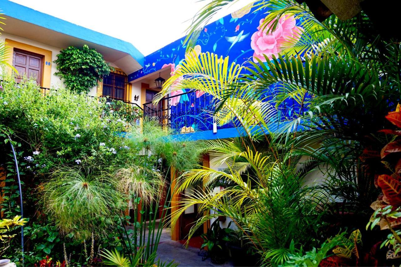 Hotel Las Golondrinas Oaxaca Dış mekan fotoğraf