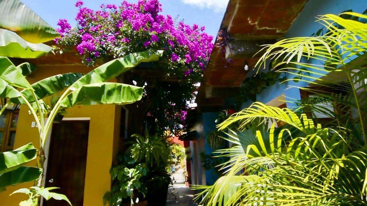 Hotel Las Golondrinas Oaxaca Dış mekan fotoğraf