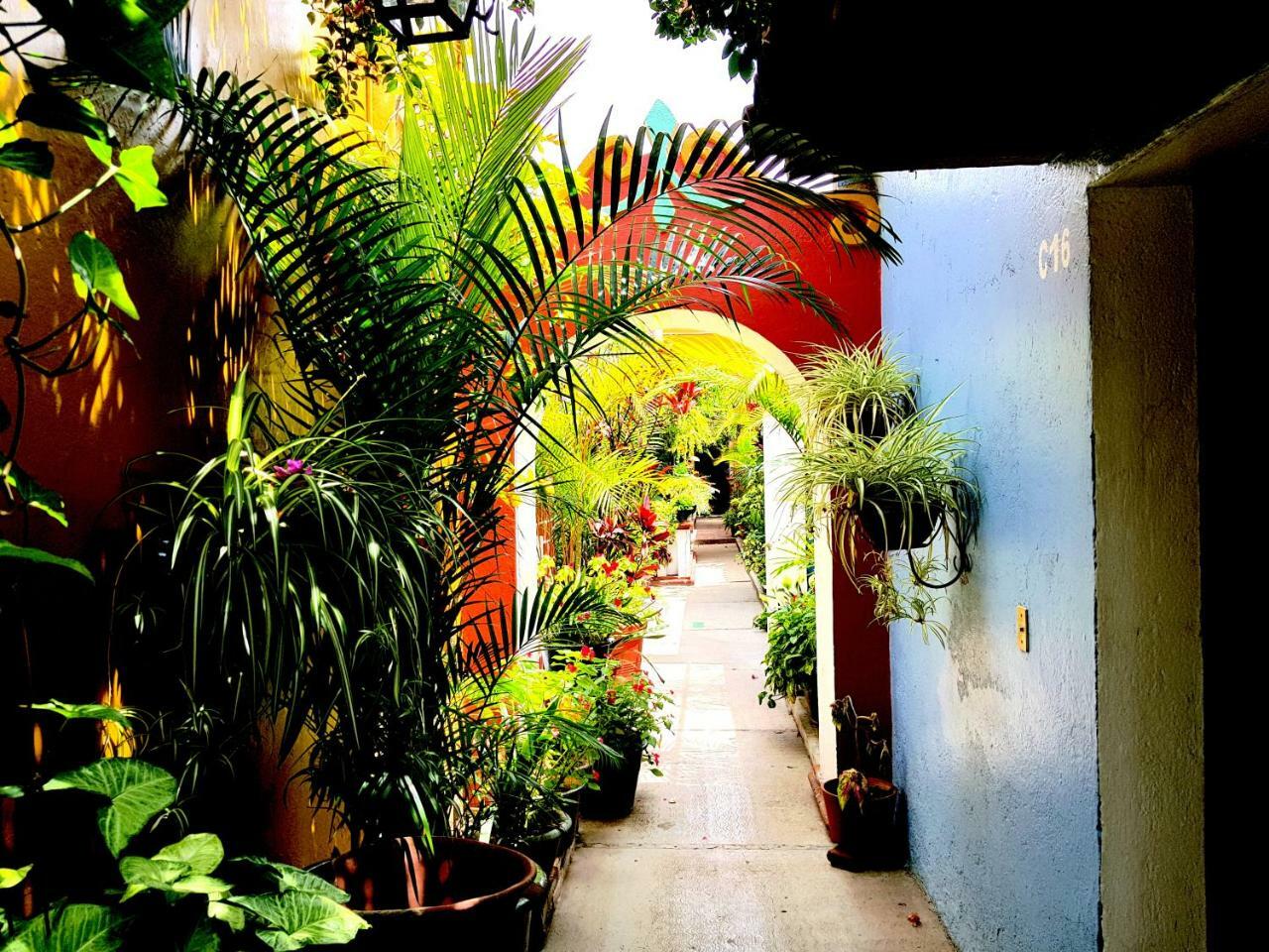 Hotel Las Golondrinas Oaxaca Dış mekan fotoğraf